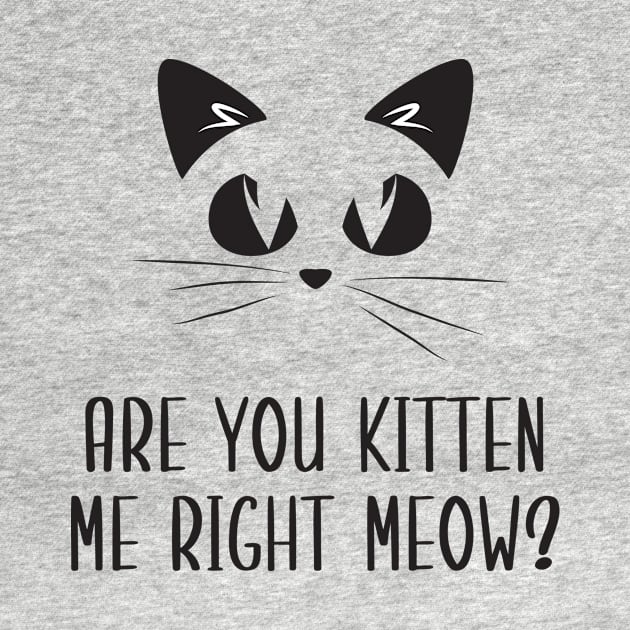 Are You Kitten Me Right Meow by Health